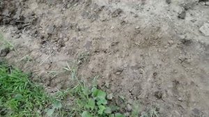 Грейдер ровняет дорогу.