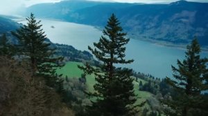 Twilight (2008) Official Trailer