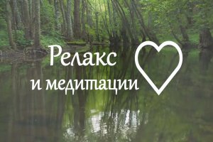 Релакс Лесные птицы