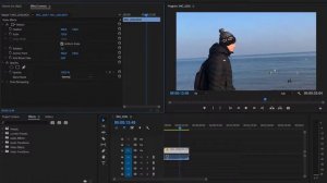 Как увеличить или уменьшить масштаб видео в Adobe Premier Pro? (анимируем видео по масштабу)