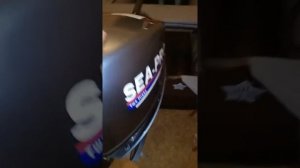 Лодочный мотор Сеа про.т9.9s