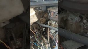 Газель двигатель Газ 52.
