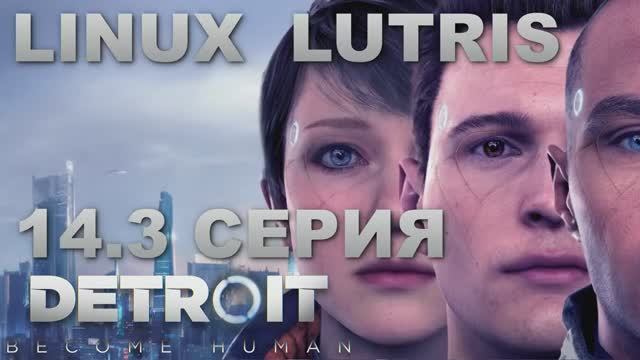 Детройт Стать человеком - 14.3 Серия (Detroit Become Human - Linux Lutris)