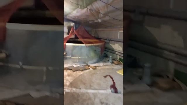 УЗВ обзор смотреть онлайн