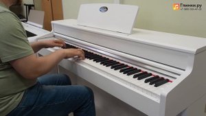 Цифровое пианино Beisite B-808 Pro WE белое - Глинки.Ру PLAYZONE
