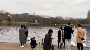 Прогулка по Лондону вокруг Королевского парка с посещением кафе Serpentine в Гайд-парке