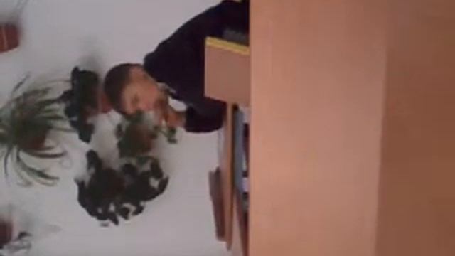 старый сосёт смотреть онлайн