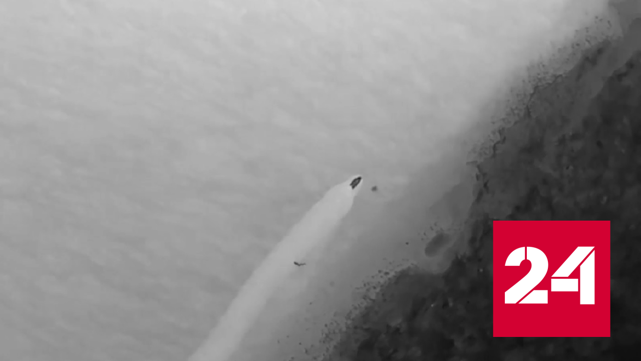 Опубликованы кадры ударов беспилотников ВДВ по противнику - Россия 24