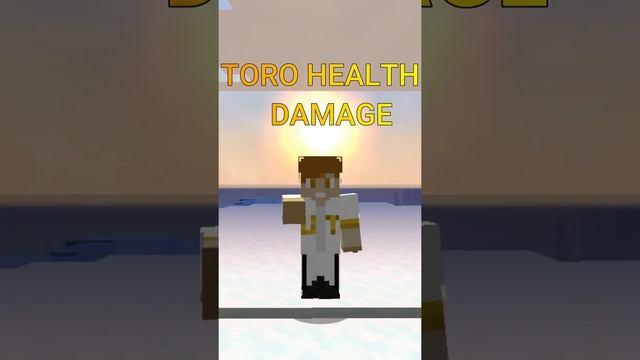 FPS REDUCER MOD AND TOROHEALTH DAMAGE