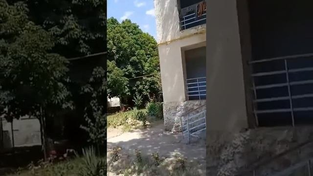 TOSHKENT. TOVOQSOY SANATORIYSIGA XUSH KELIBSIZ!!