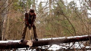Самоизоляция. Маленький топорик или лучковая пила. Кто быстрей разделается с большим бревном?