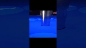 Завораживающие и Пугающие Звуки морских глубин из Музея Мирового Океана в Калининграде)