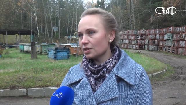 Закладка Овощей смотреть онлайн