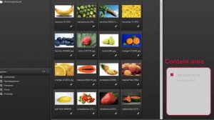 Digital Asset Management: Cavok and its interface (Tutorial)