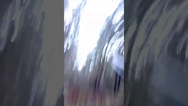 охота на рябчика с манком и тоз 34 смотреть онлайн