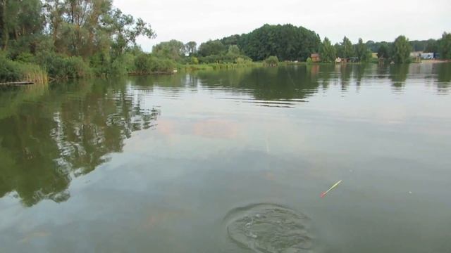 Ловля карпа на пруду на кукурузу Прикормка карповая Brain смотреть онлайн
