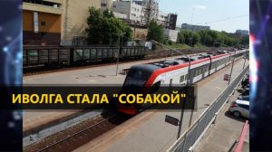 Новостной дайджест. Итоги 2019 года