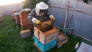 Объединение семей.