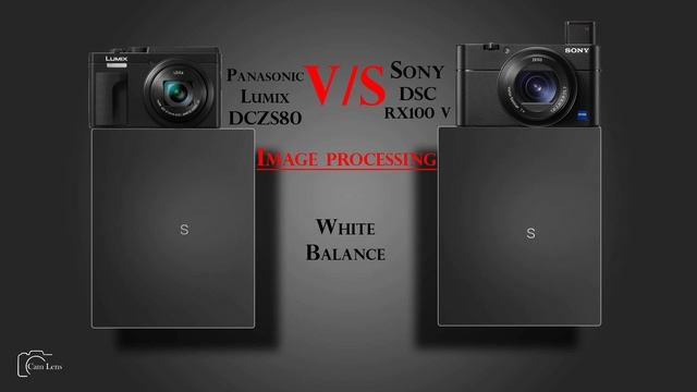 Panasonic Lumix DCZS80 vs Sony DSC RX100 V смотреть онлайн