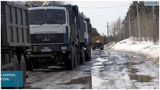 Более 400 тысяч кубометров снега с начала зимы вывезено на снежный полигон из поселений Сургутского