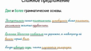 Сложное предложение (5 класс - видео урок