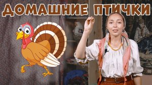 Пальчиковые игры для детей от 2 до 5 лет | Домашние Птички