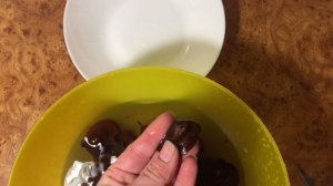 Зимние грибы: собираем и готовим. Аурикулярия уховидная/ Иудины уши/ гриб Муэр. Трускавец. 25.12.19