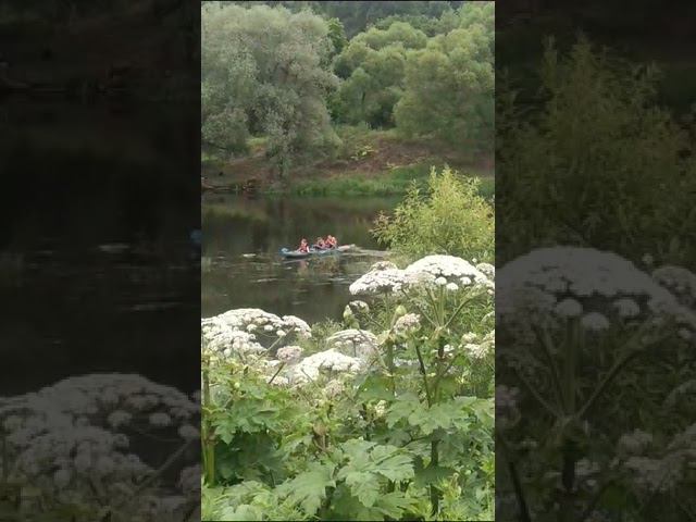 24 июня 2023 г. смотреть онлайн