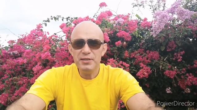 Коста Рика Прогулка в Кароновирус ??????