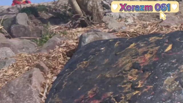 Санкт-петербург Финский залив. Sankpeterburg. Finskiy zaliv. 2023 г. смотреть онлайн