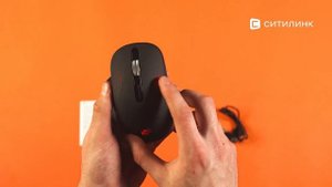 Обзор мыши Oklick 636LWC | Ситилинк