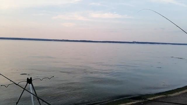 Я дождался своего ЛЕЩа! смотреть онлайн