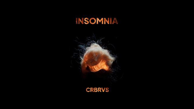 CRBRVS - Insomnia (2023r) смотреть онлайн
