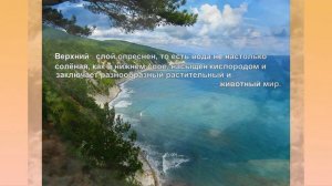 Природа Краснодарского края