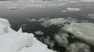 Зимняя ловля хариуса на Енисее по открытой воде