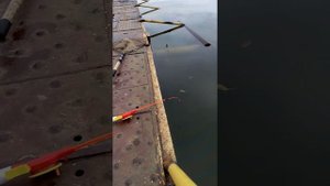 как ловить раков на зимнюю удочку.