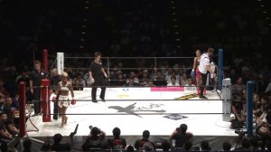 KANA vs. Emilie  - (2017.08.20) - /r/WMMA