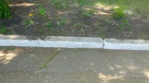 МОТОБЛОК ТРИММЕР ГАЗОНОКОСИЛКА САДОВЫЙ ПЫЛЕСОС ИЗМЕЛЧИТЕЛЬ ПОДМЕТАЛЬНАЯ МАШИНА ИЗ ГАЗОНОКОСИЛКИ