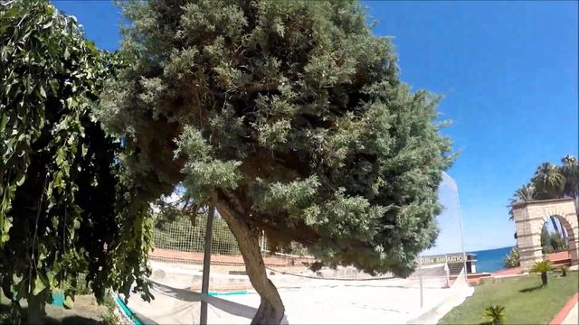 Q AVENTURA PARK HOTEL 5* ОТЗЫВ смотреть онлайн