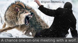 Английский бесплатный онлайн репетитор. Прокачка говорения на примере рассказа "Встреча с волком"