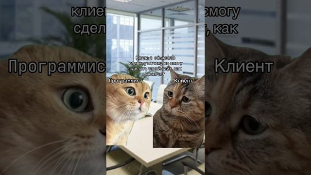 Когда объясняешь клиенту, что не сможешь сделать такой сайт