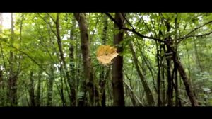 ● ПОТУСТОРОННИЙ мир и Тайна Линкольна. Мистика Президента и Общение с ДУХАМИ