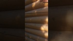 Пропитка Dufa Wood Protect опыт использования и нанесения