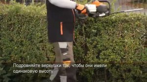 Мотоножницы Штиль Stihl HS 82 R. Приемы работы при резке трапециевидных форм.