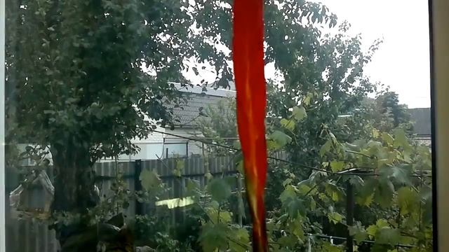 начало цветения вриезии смотреть онлайн