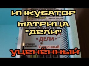 уценённый инкубатор матрица "дели" от производителя... что нам прислали.