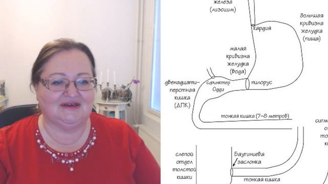 Раздельное питание ВРЕДНО! Правильное питание. Дневник похудения и оздоровления.