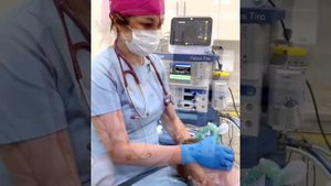 Лечение зубов во сне солнечной принцессе Фрейде