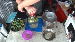 КОМПОТ из ФЕЙХОА на Зиму. Выпуск №431