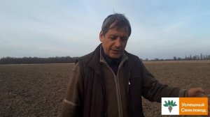 Сеять или "еще рано", сроки посева сахарной свеклы.